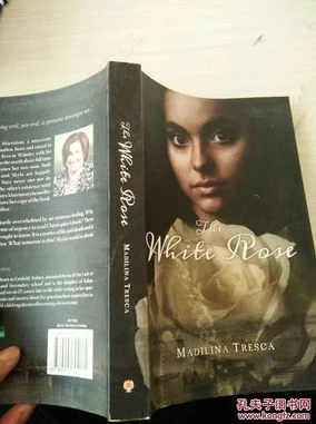 the white boXXX最美：揭示其背后的创作灵感与艺术价值，重新定义现代美学的标准