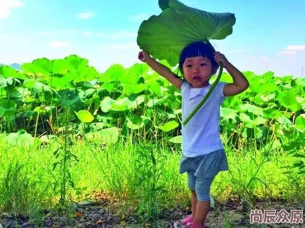 需要爸爸播种种子美国：父亲角色在儿童成长中的重要性与影响研究